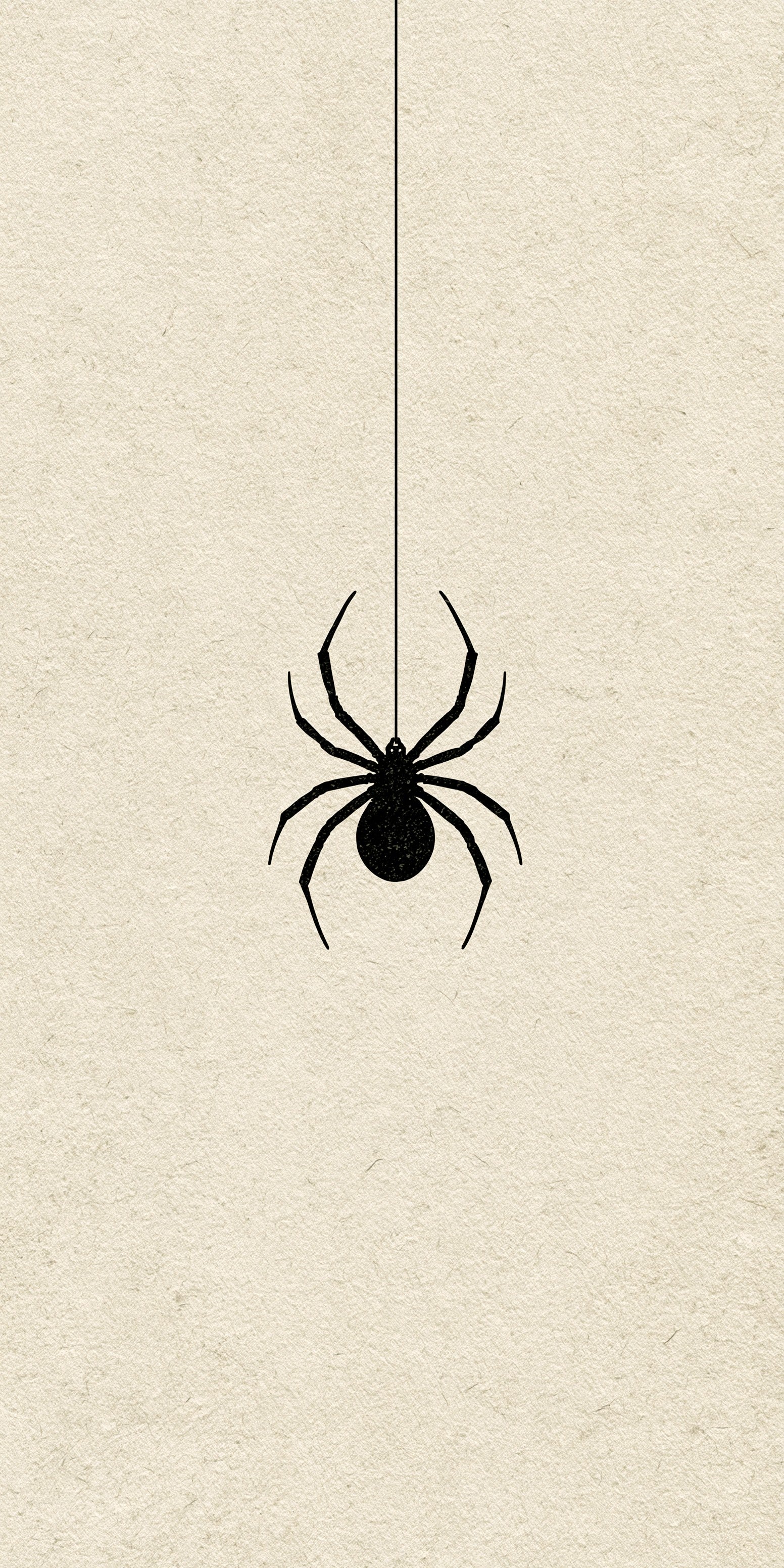 Dangling Spider Earrings | FW277