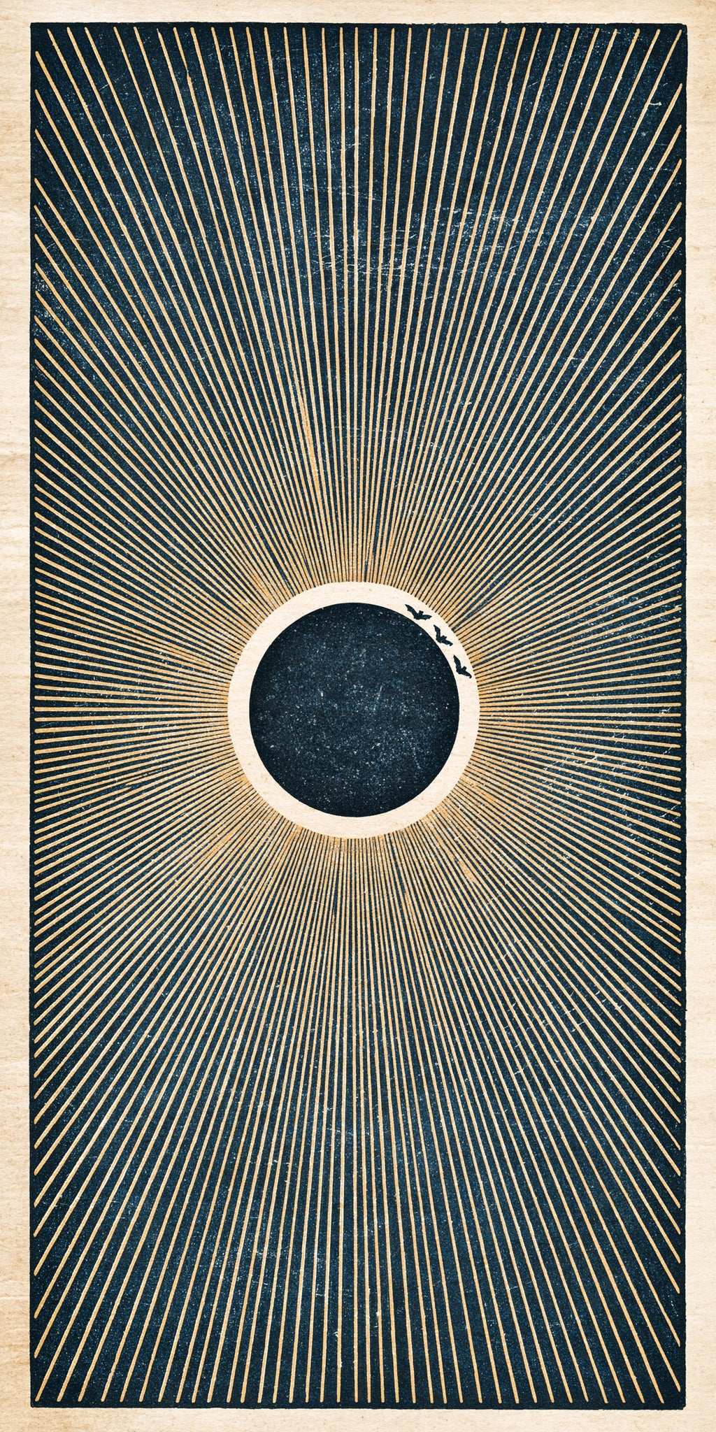 Total Eclipse Earrings | FW366