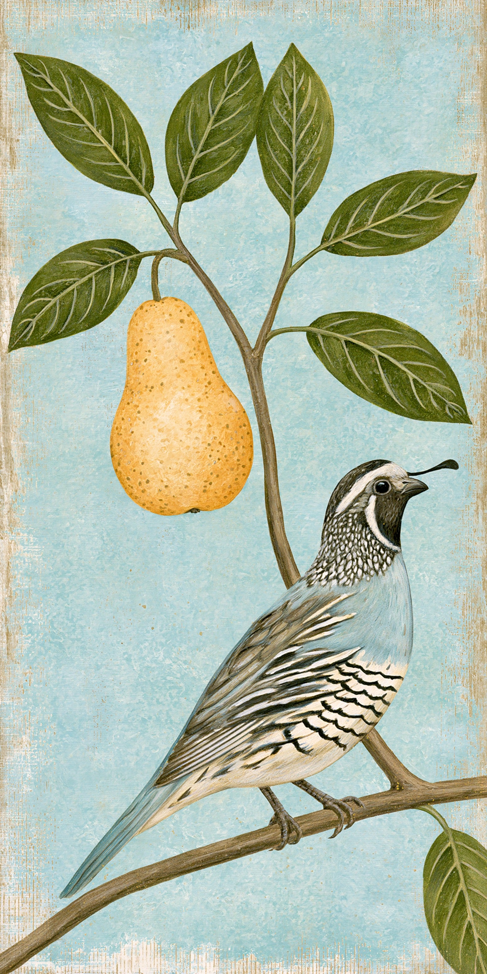 Partridge Pear Tree Earrings | FW402
