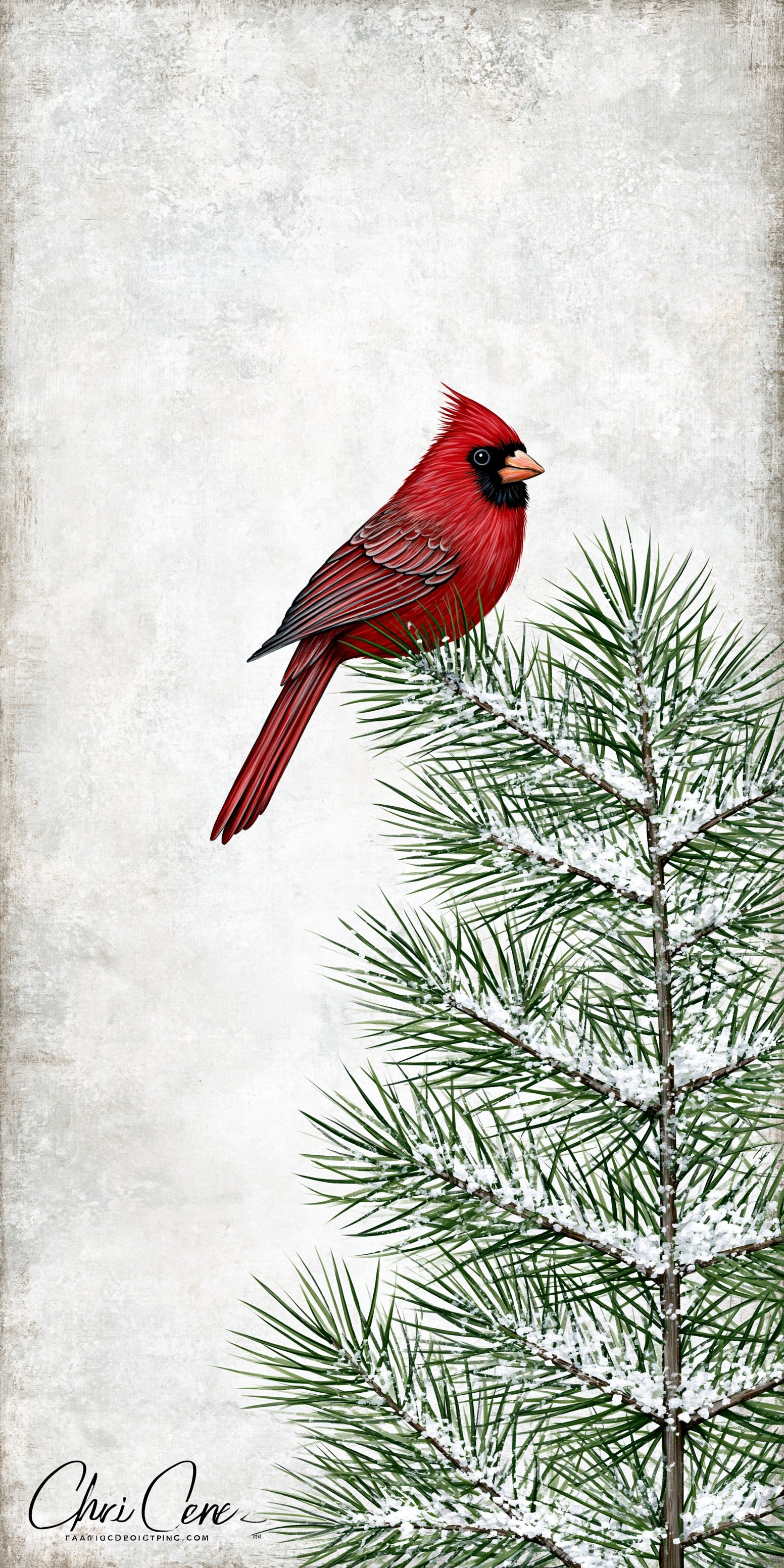 Pine Cardinal Earrings | FW406