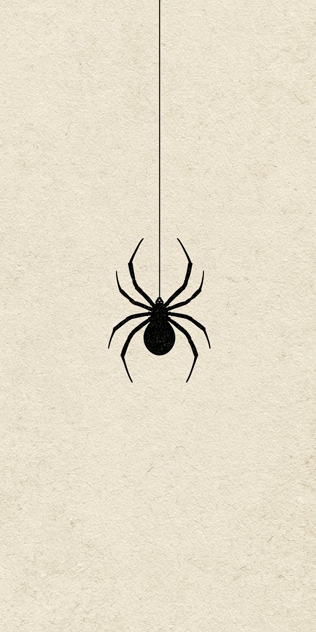 Silent Spider Earrings | FW413