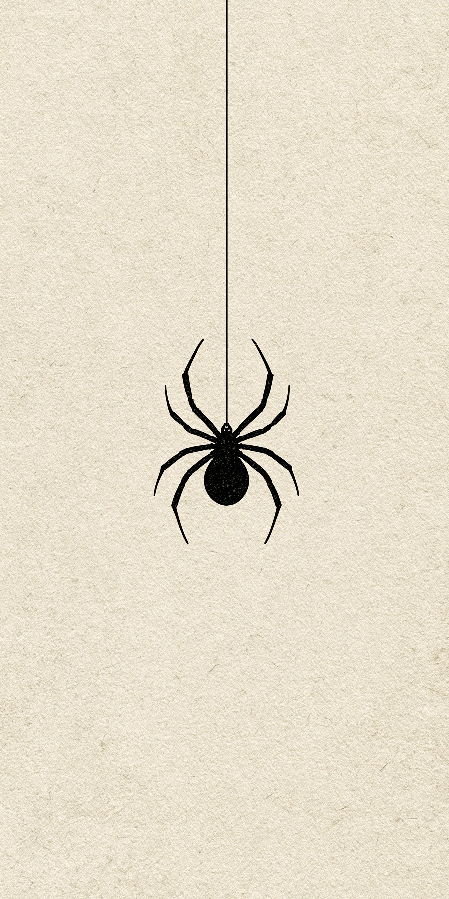 Silent Spider Earrings | FW413