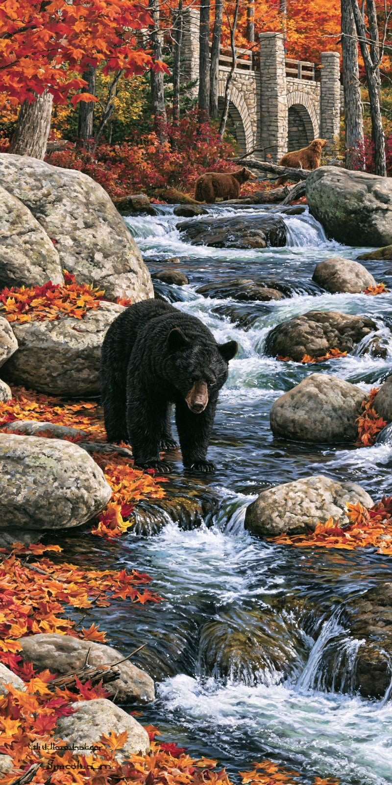 Creek Bear Earrings | FW444