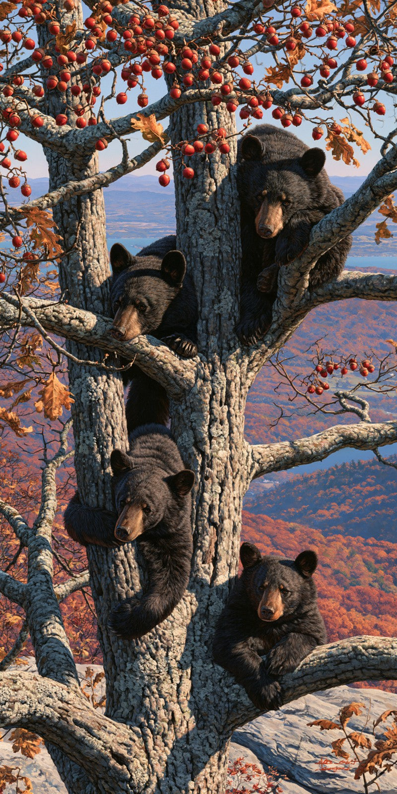 Cubs in the Oak Earrings | FW454