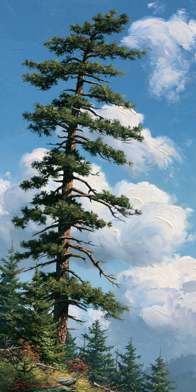 Cloud Pine Earrings | FW465