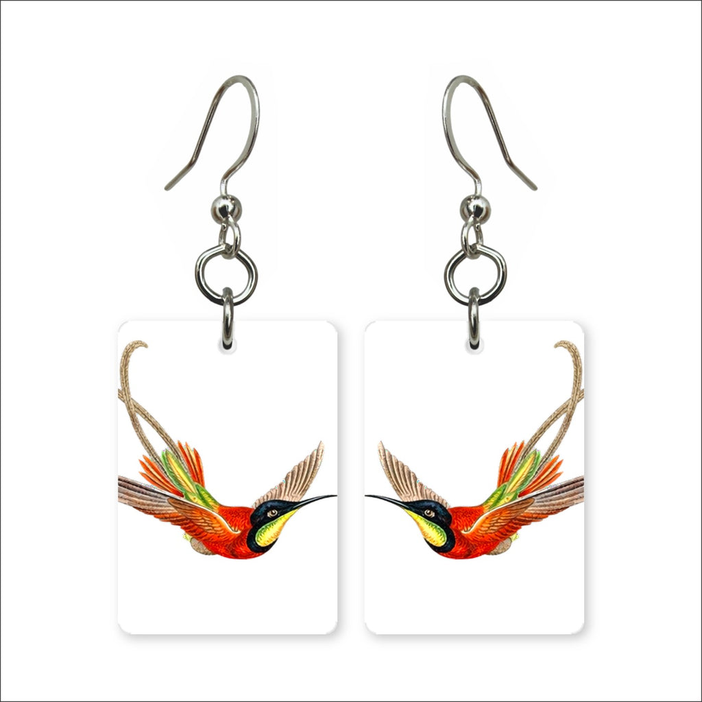 Hummingbird Study Earrings | FWP129A