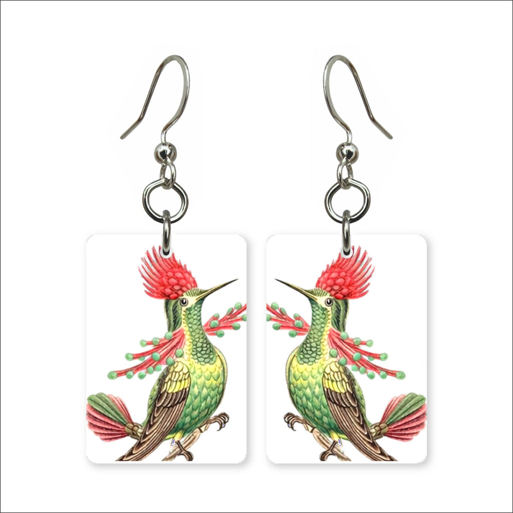 Crested Hummingbird Earrings | FWP129B