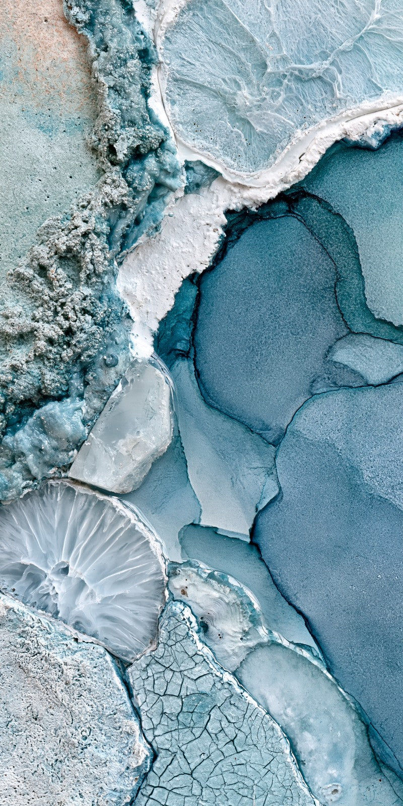 Glacier Teal Fragility Earrings | FWX1011