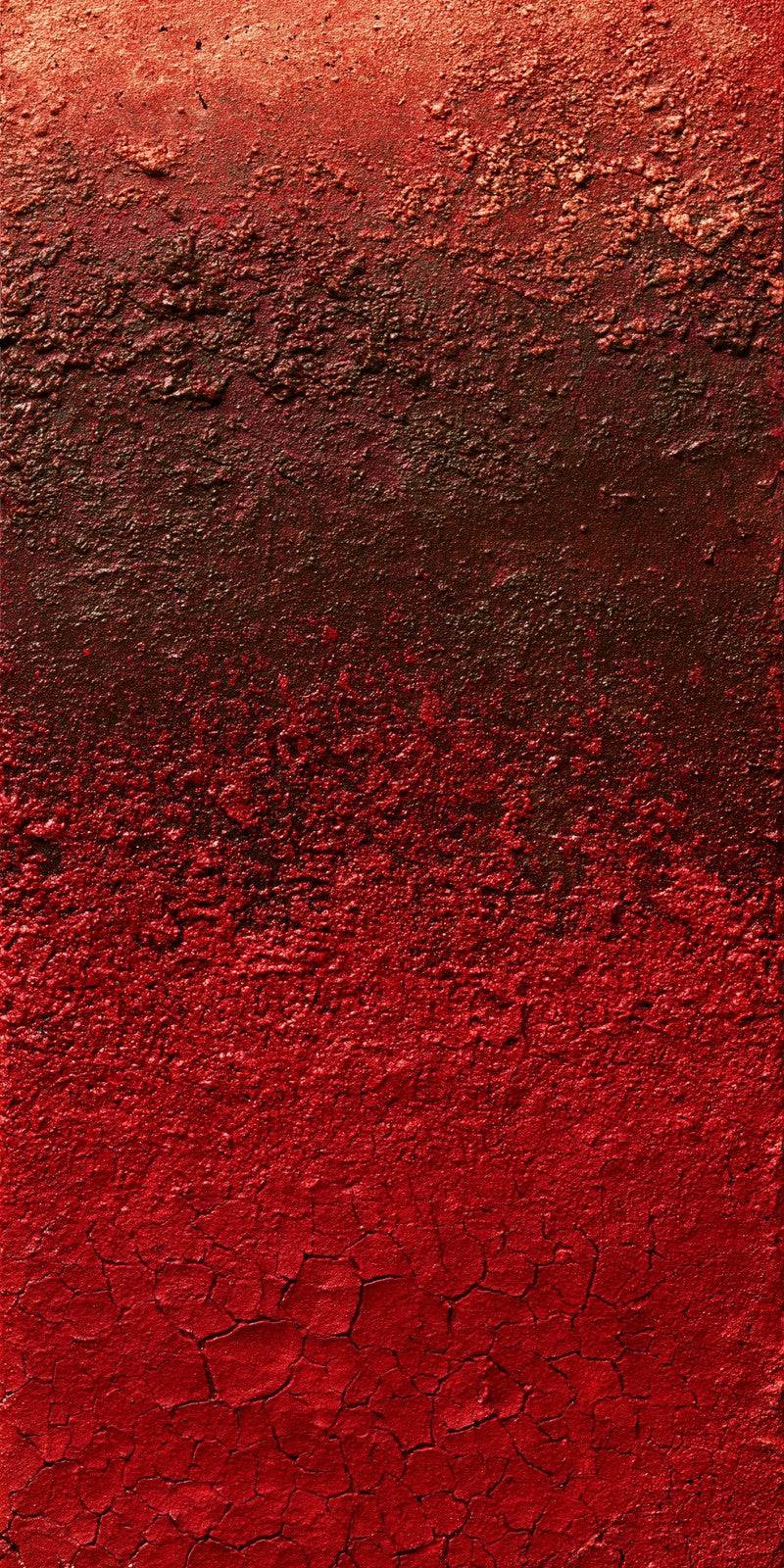 Bruised Red Heaviness Earrings | FWX117