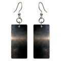 Black Velvet Silver Glow Earrings | FWX1182