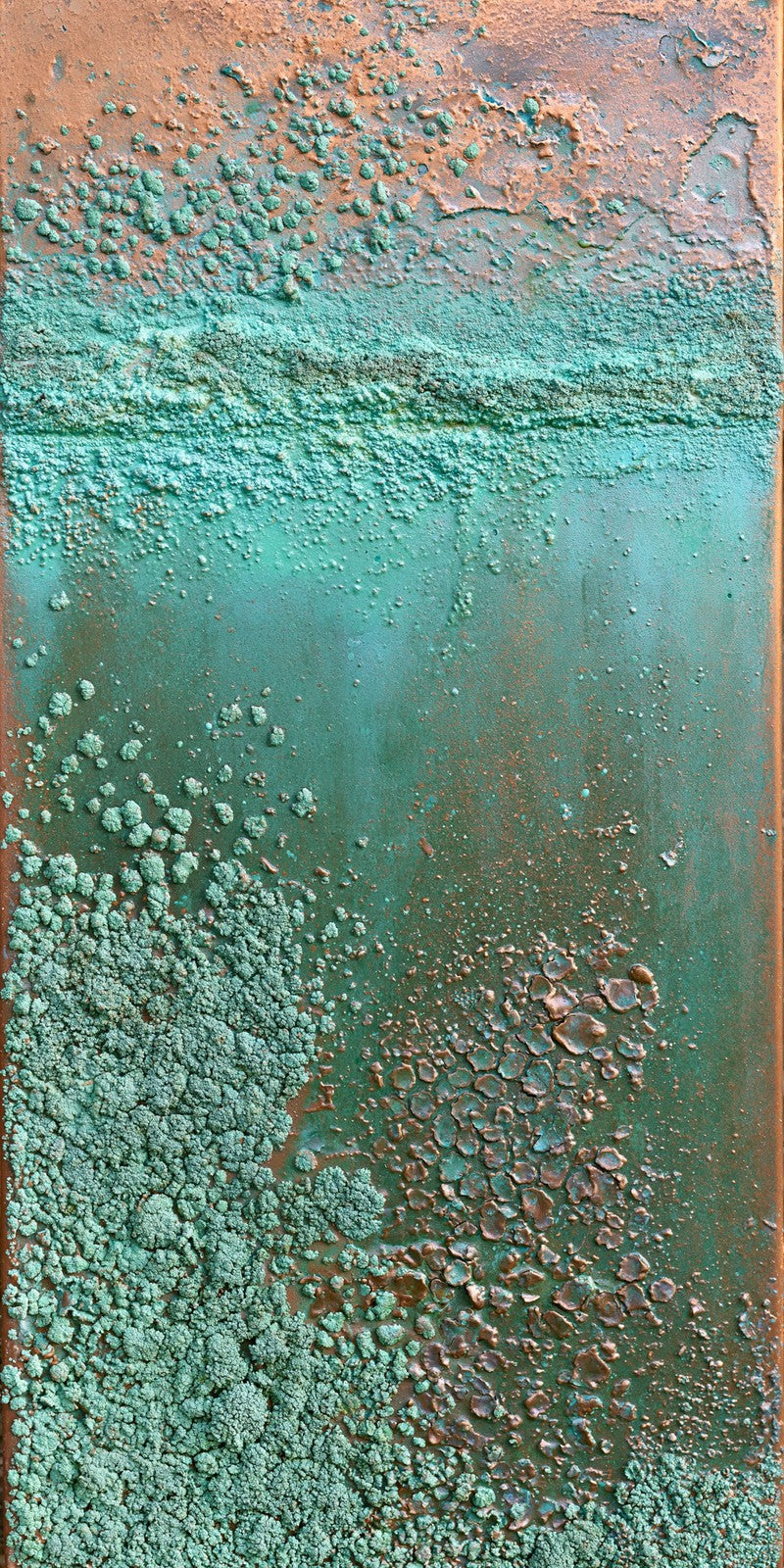 Verdigris Wonder Awakening Earrings | FWX1329