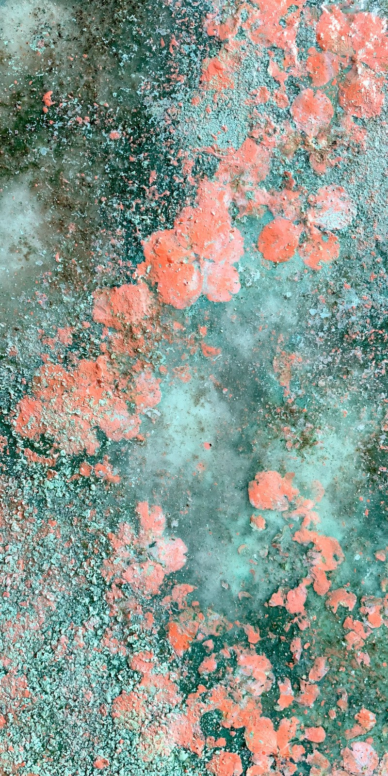 Seafoam Blush Mending Earrings | FWX132