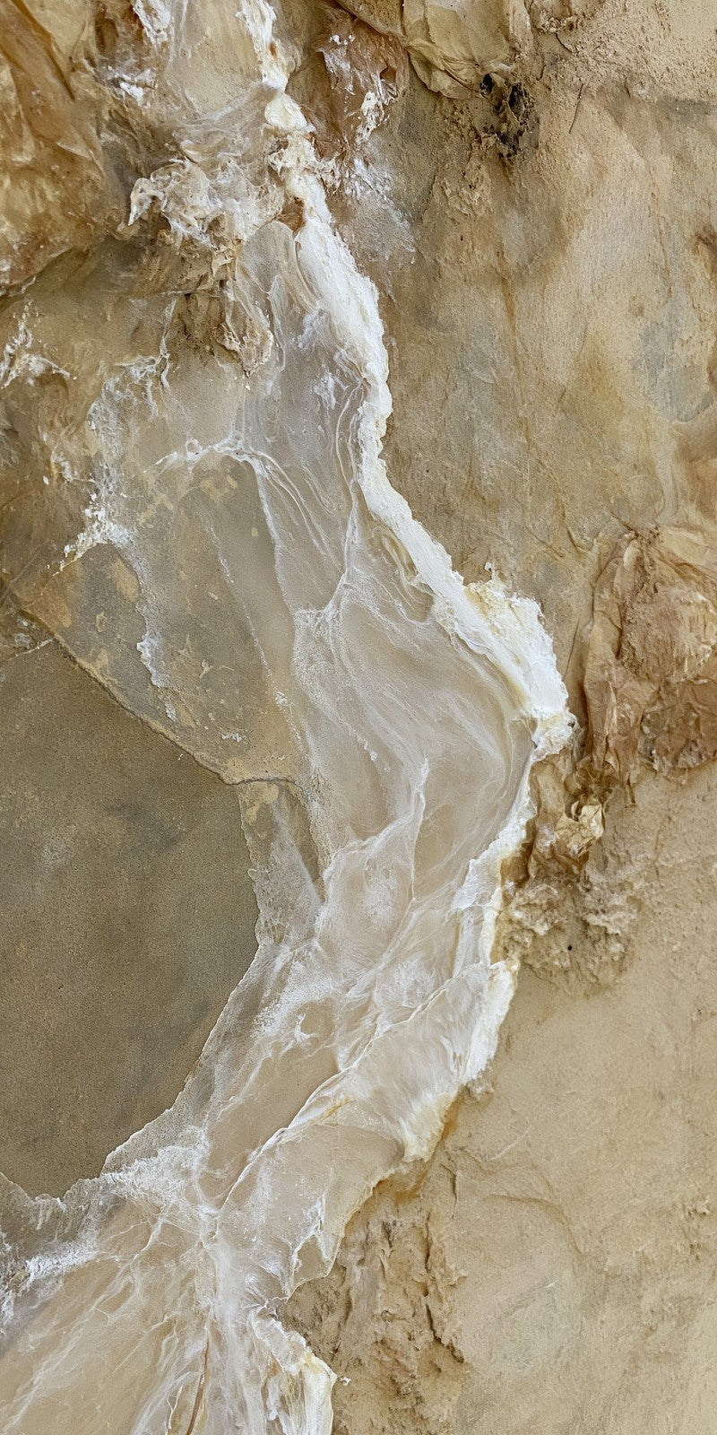 Alabaster Ease Returning Earrings | FWX1373
