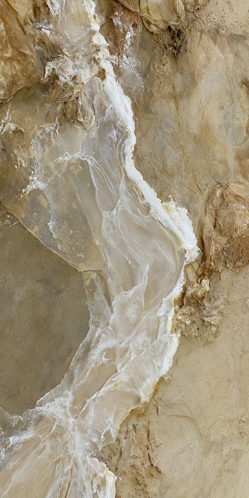 Alabaster Ease Returning Earrings | FWX1373