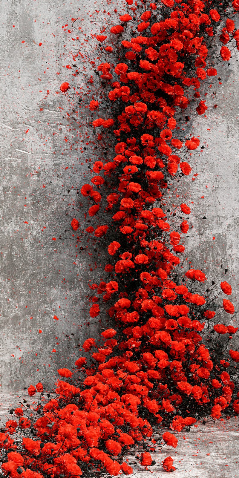 Cherry Red Exuberance Earrings | FWX146