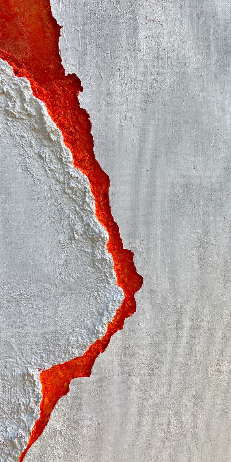 Vermilion Bare Vulnerability Earrings | FWX1470