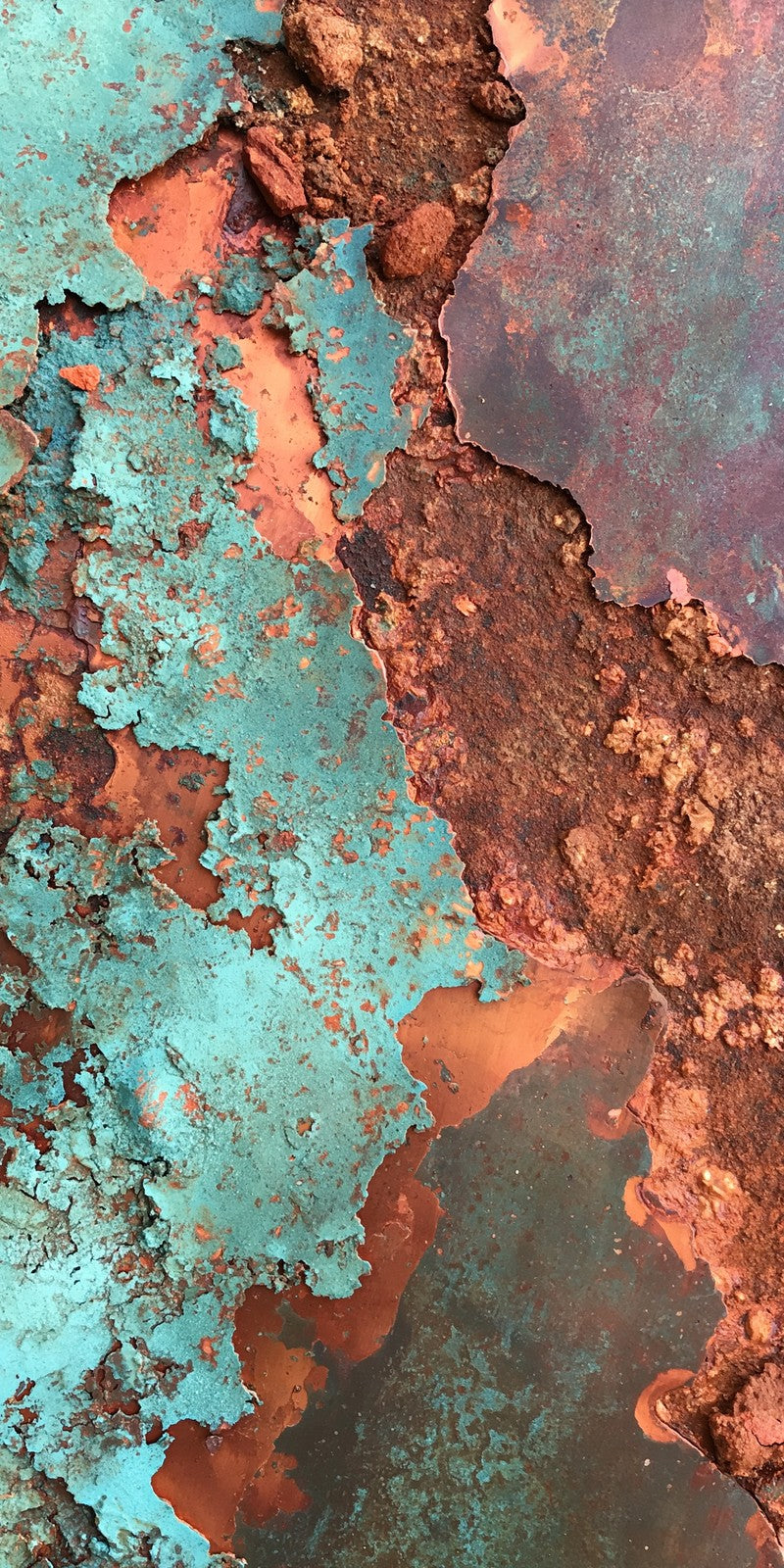 Turquoise Rust Acceptance Earrings | FWX1758