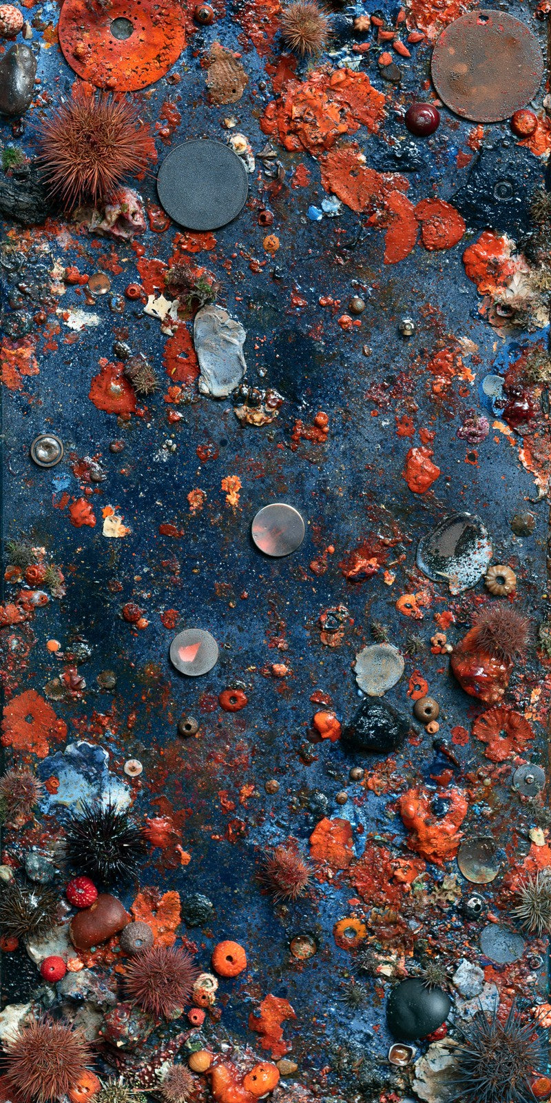 Ember in the Midnight Earrings | FWX1973