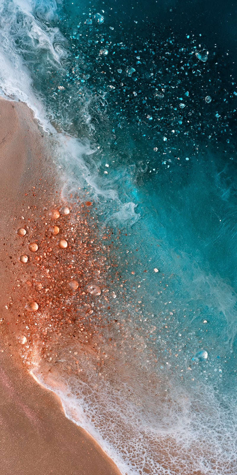 Coral Marveling Earrings | FWX1984