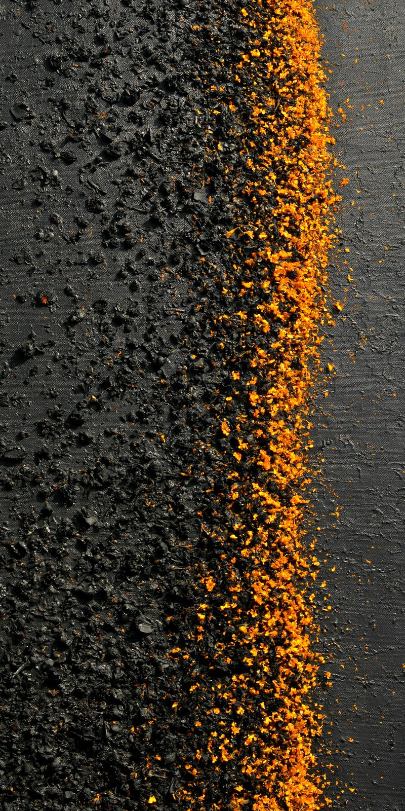 Black Resilience Gold-Edged Earrings | FWX198