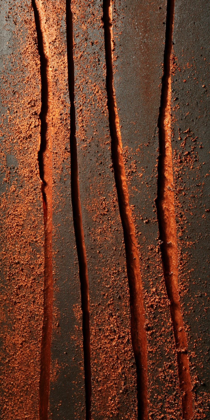 Copper Rust Fortitude Earrings | FWX2229