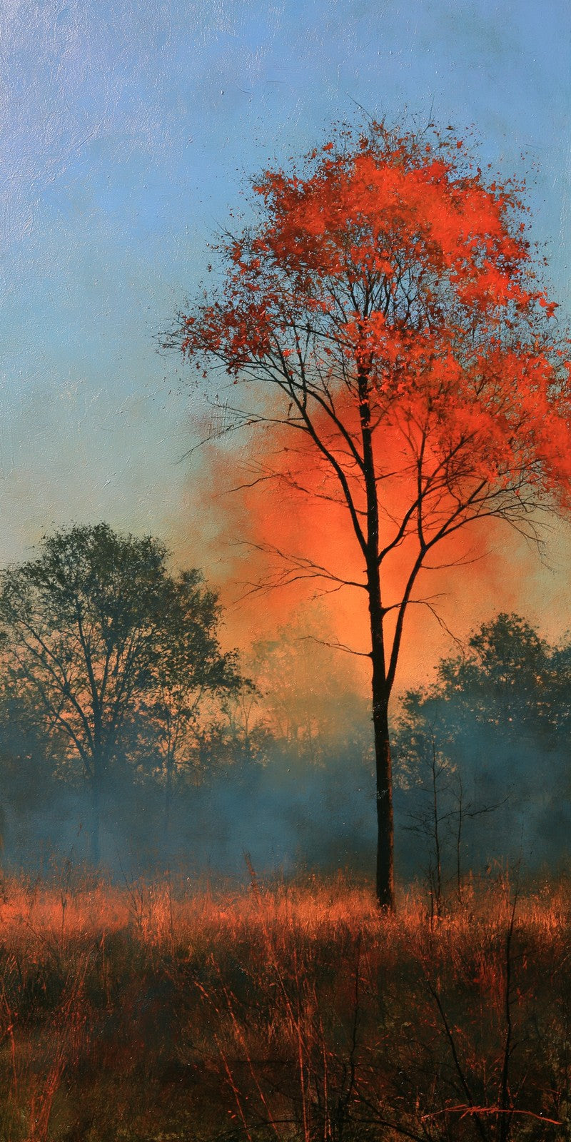 Orange Smoke Waiting Earrings | FWX2240