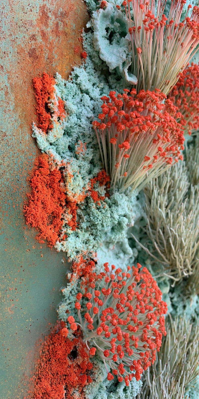 Coral Sage Delicacy Earrings | FWX2292