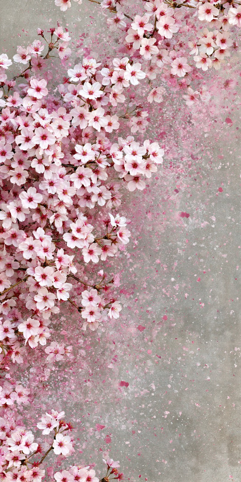 Pale Pink Gentleness Earrings | FWX230