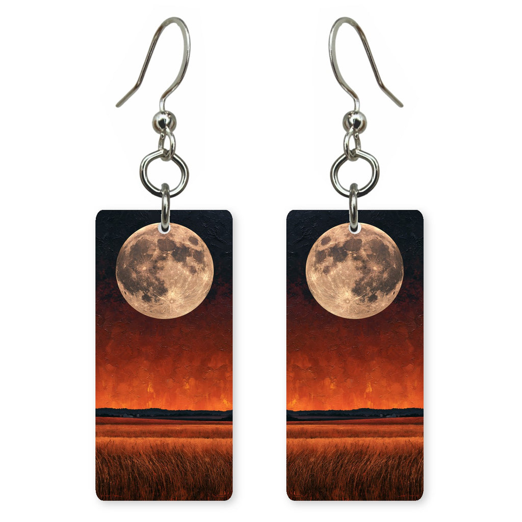 Black Crimson Awe Earrings | FWX2323