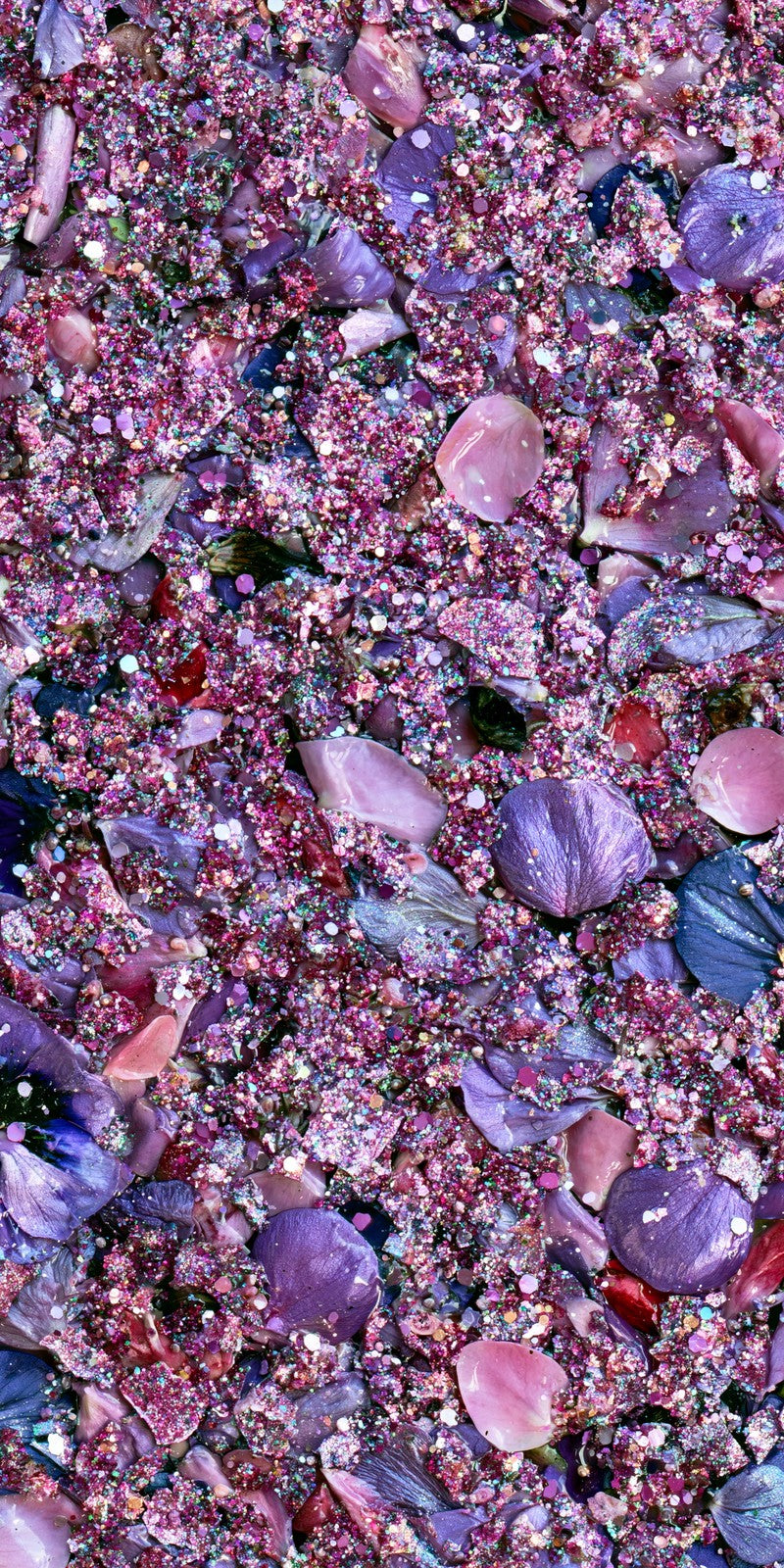 Amethyst Wonderstruck Earrings | FWX235