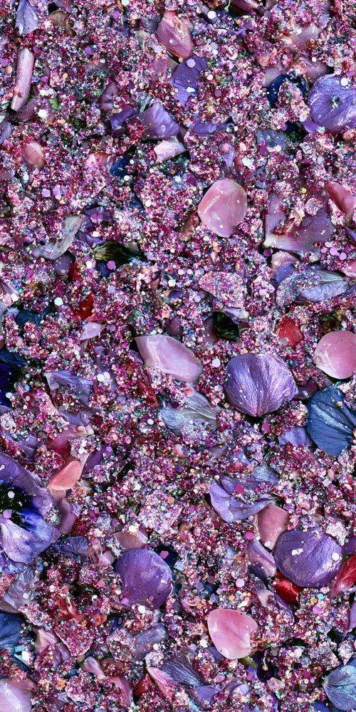 Amethyst Wonderstruck Earrings | FWX235