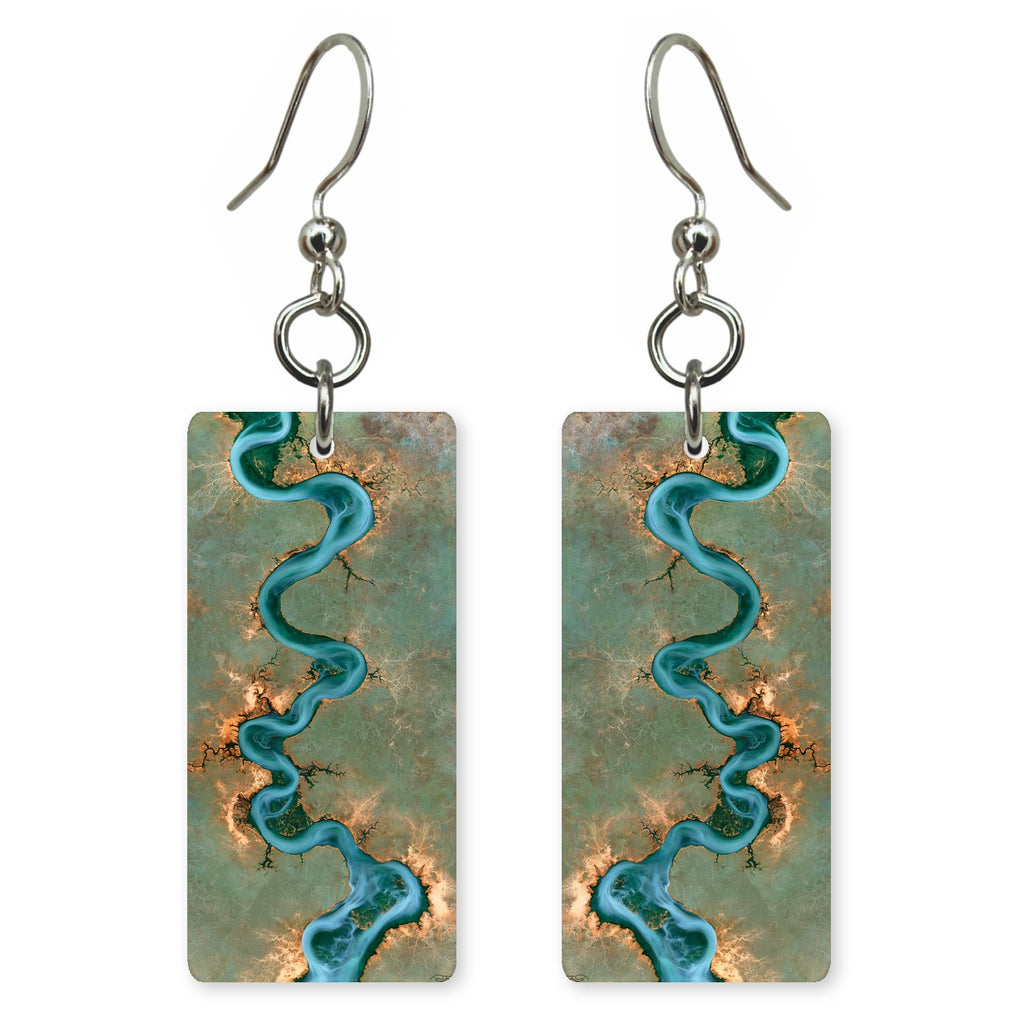 Turquoise Sage Curiosity Earrings | FWX2391