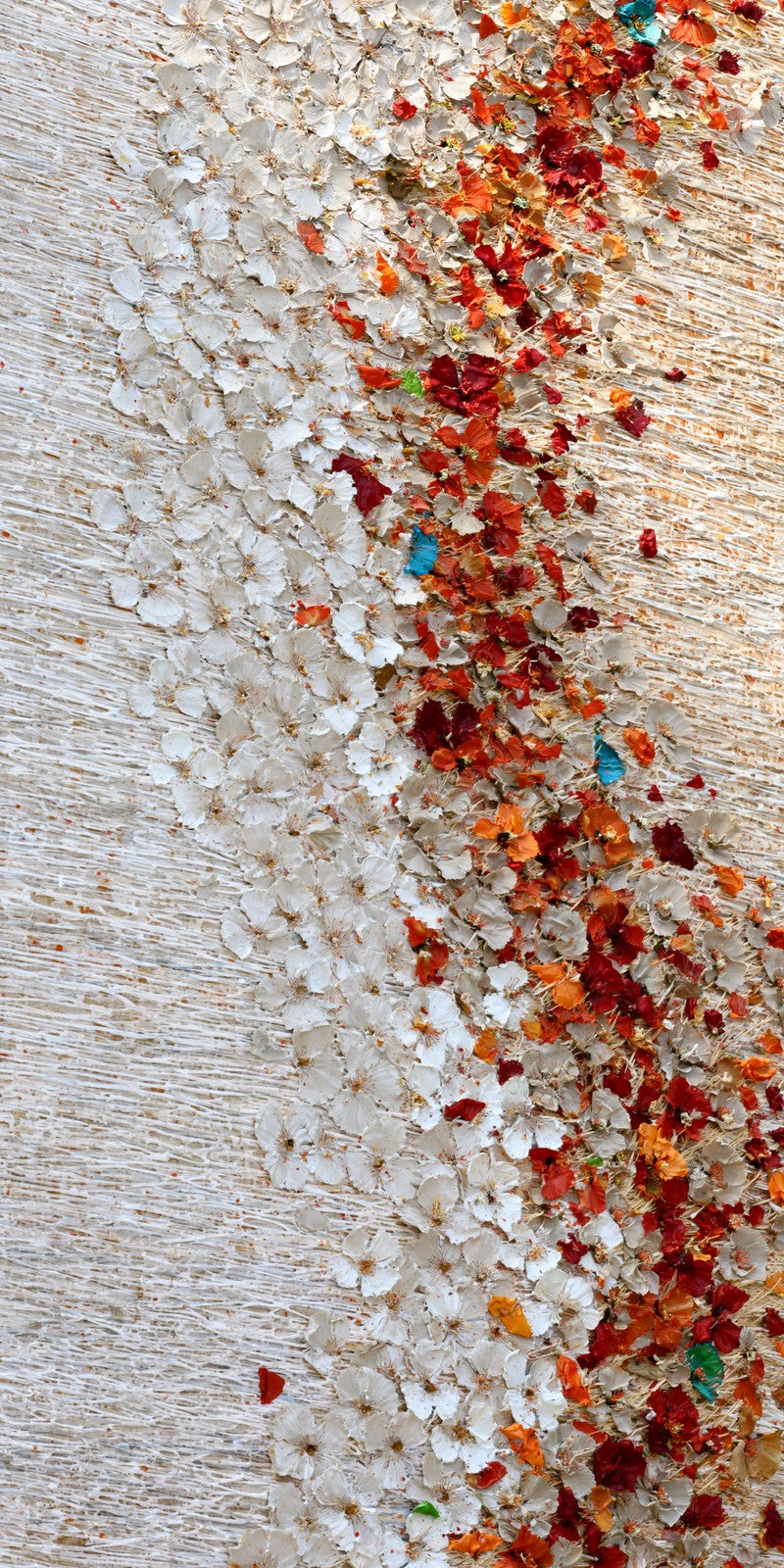 Ivory and Rust Parting Earrings | FWX241