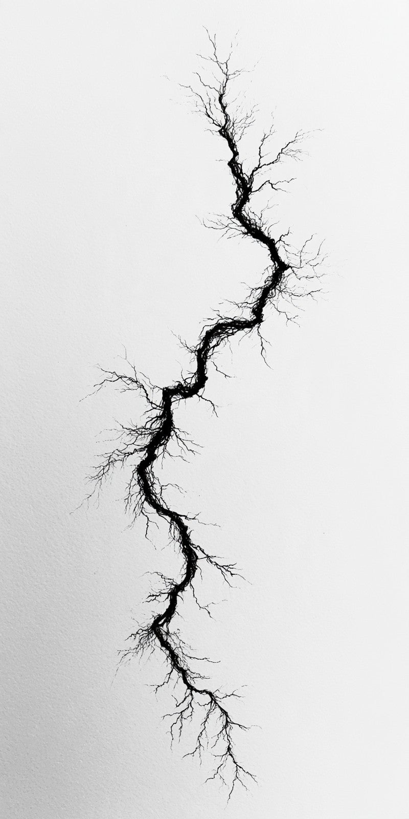 Ink Bone Branching Earrings | FWX2455