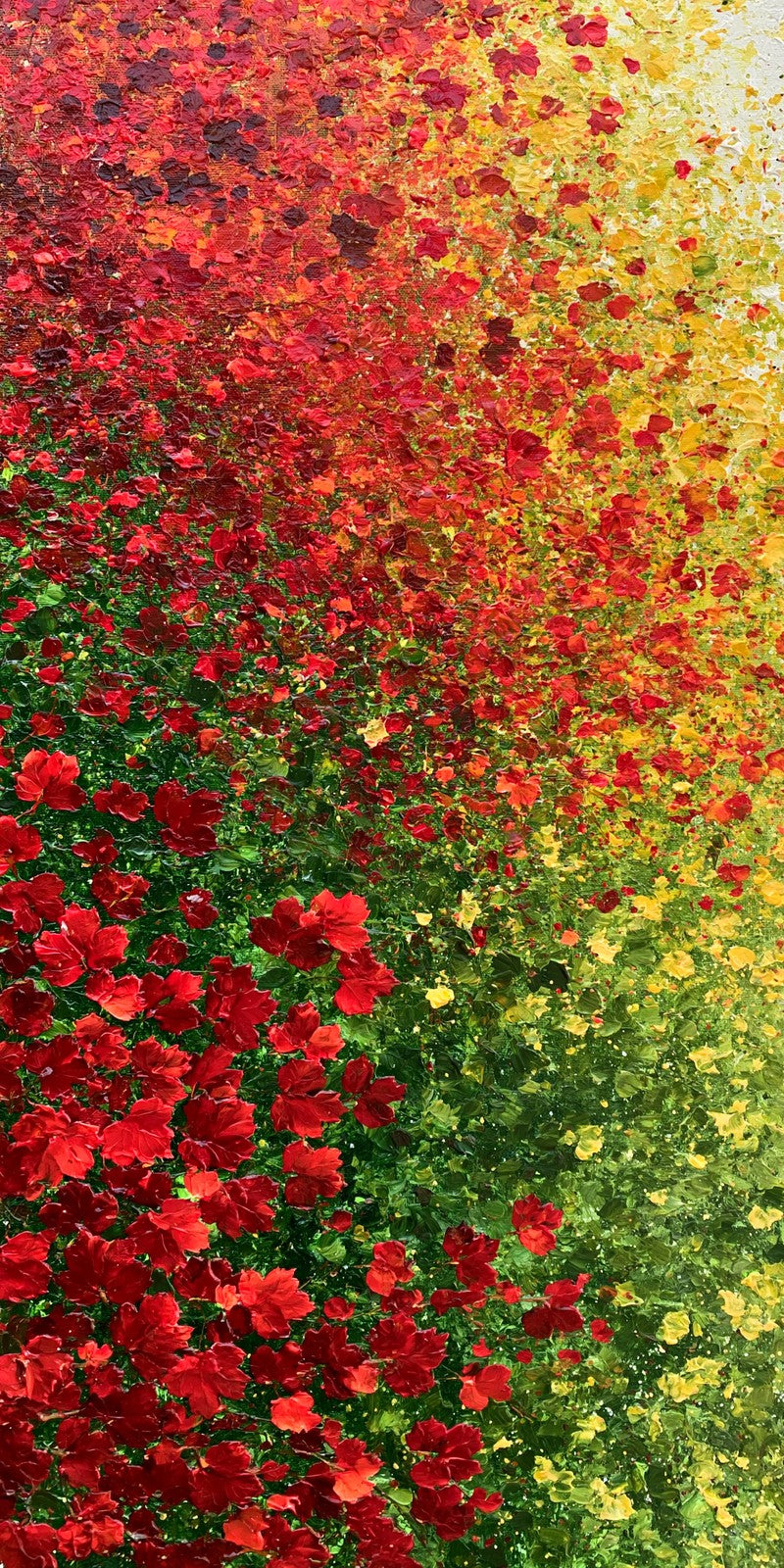 Poppy Red Abundance Earrings | FWX24