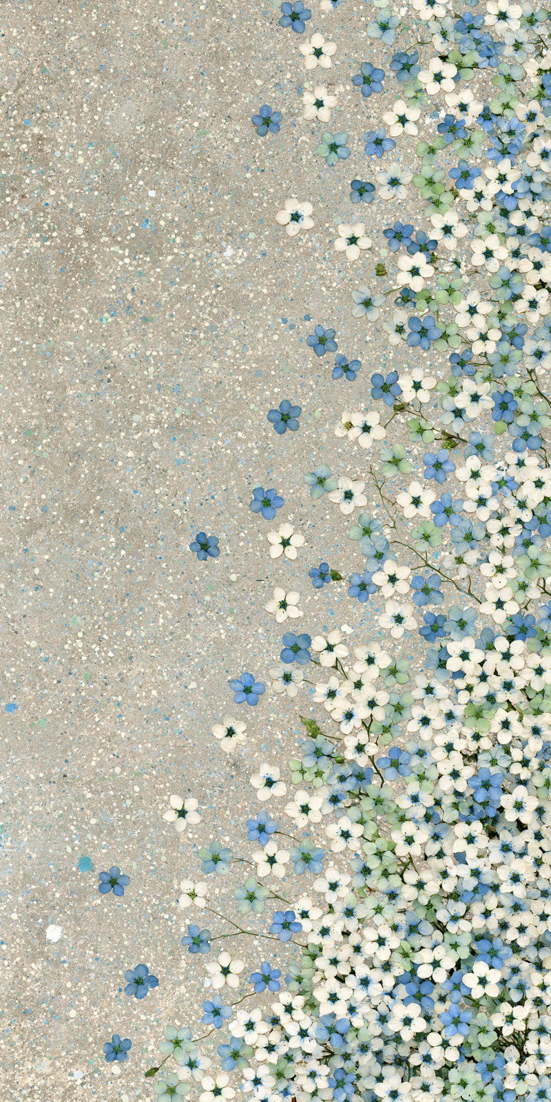 Grey and Periwinkle Remembrance Earrings | FWX252
