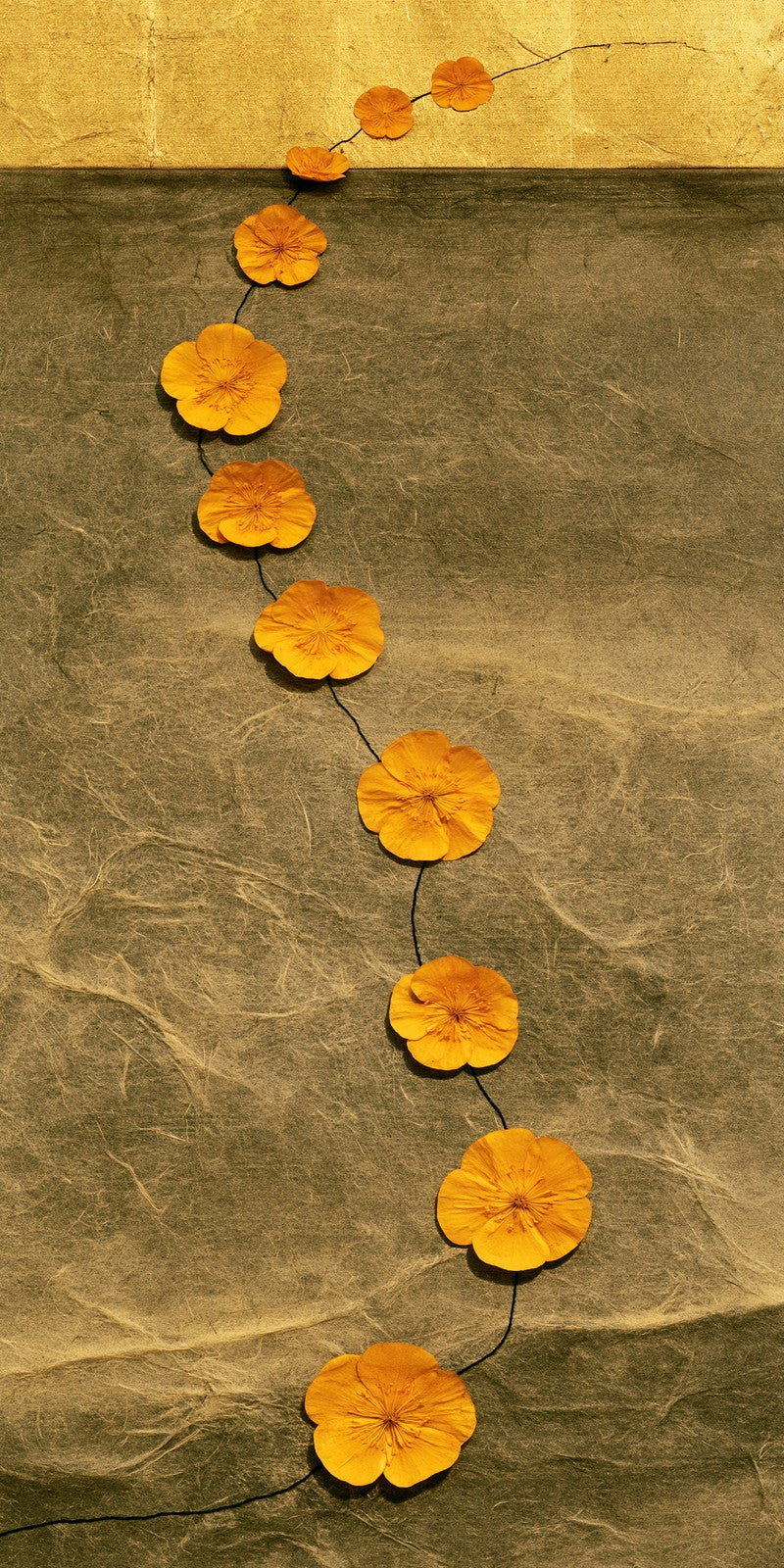 Gold Hope Quietly Earrings | FWX264