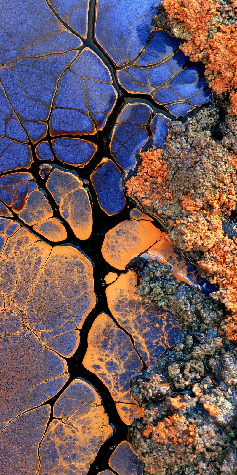 Indigo Loneliness Lit Orange Earrings | FWX293