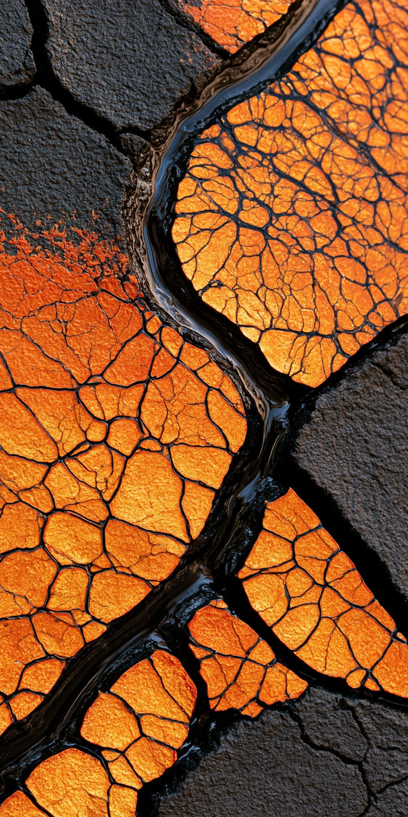 Lava Cracked Open Earrings | FWX311