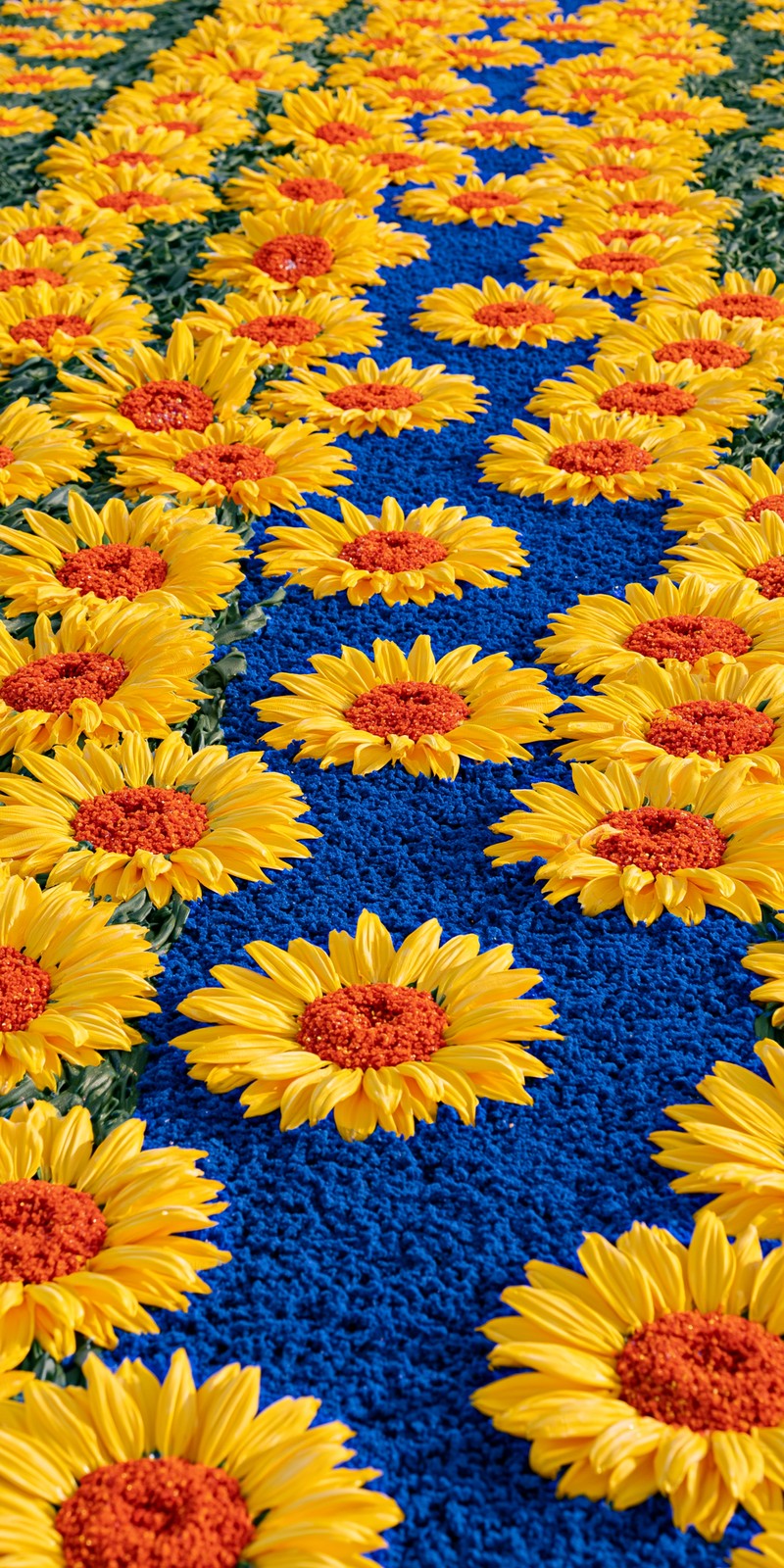 Cobalt and Yellow Anticipation Earrings | FWX347