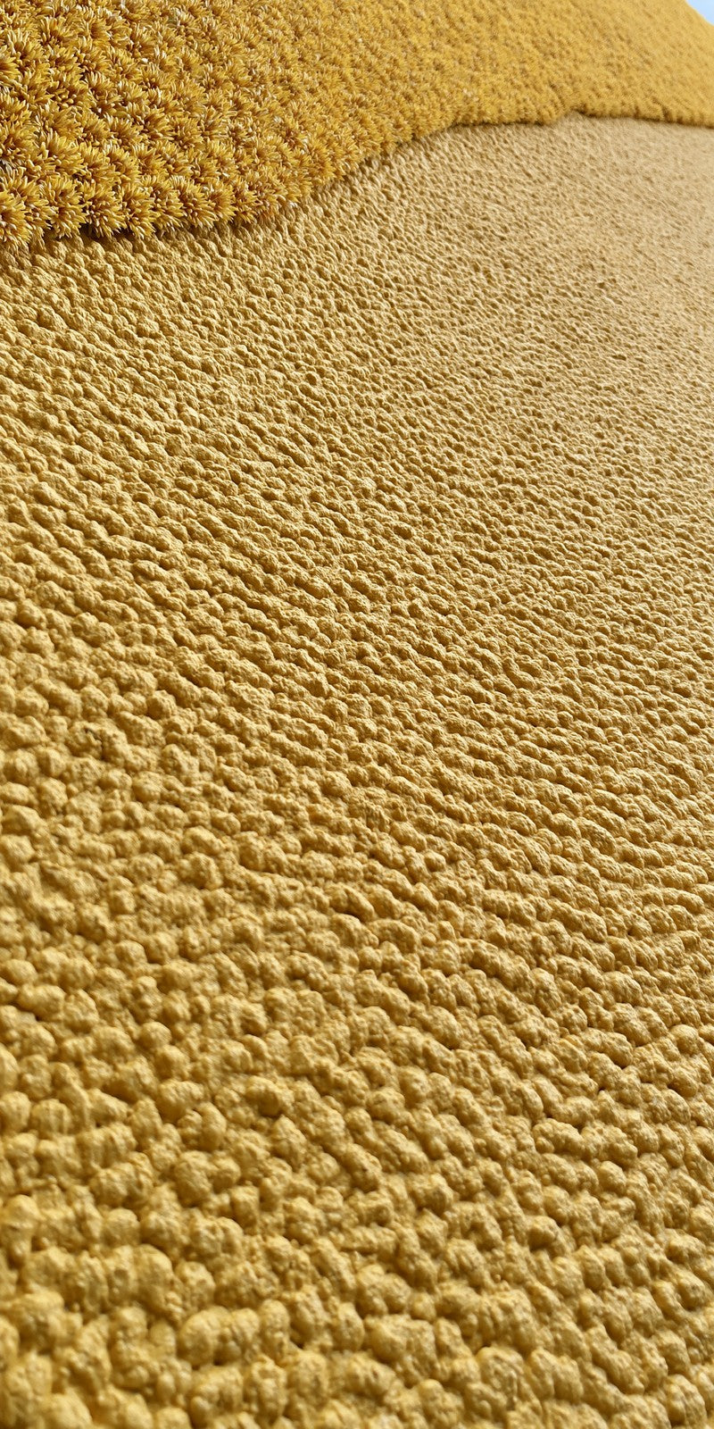 Sand Ease Settling Earrings | FWX357
