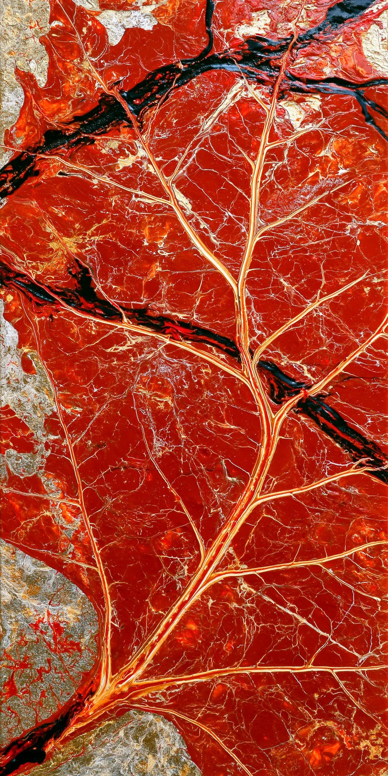 Scarlet Fragile Heart Earrings | FWX36
