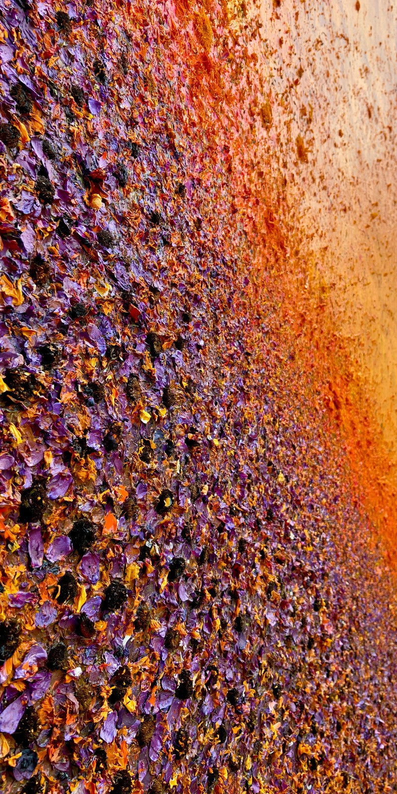 Violet Ember Restlessness Earrings | FWX378