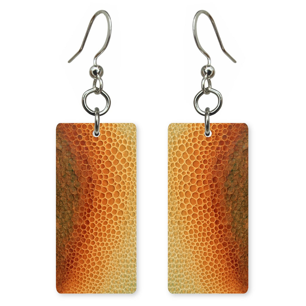 Amber Community Warmth Earrings | FWX398