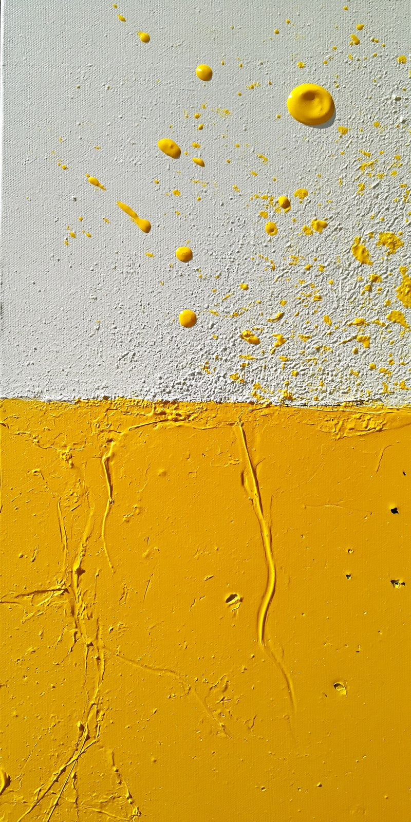 Lemon Hope on Snow Earrings | FWX403