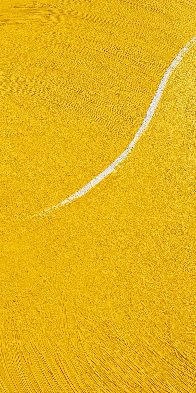 Yellow Lone Clarity Earrings | FWX426
