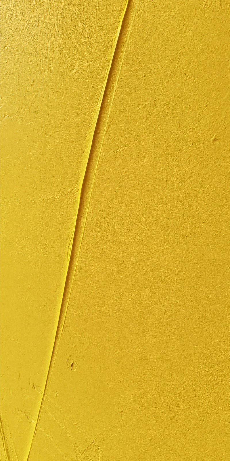 Lemon Truth Told Earrings | FWX429