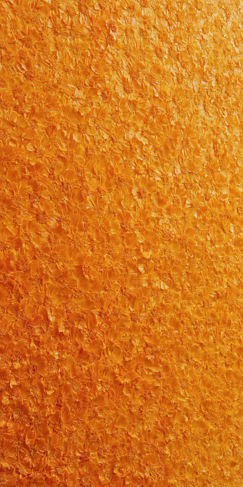 Orange Perseverance Held Earrings | FWX430