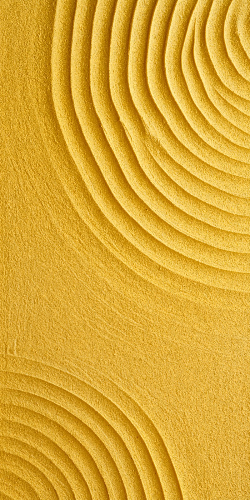 Sand Yellow Surrender Earrings | FWX431
