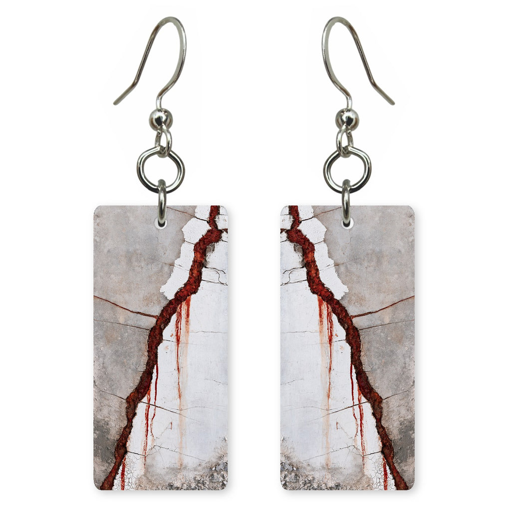 Red Hurt Told Plainly Earrings | FWX478